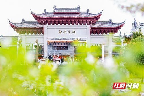 潇湘的照片,探寻自然与人文的和谐交响